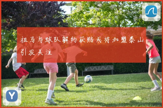 祖马与球队解约获赔或将加盟泰山引发关注