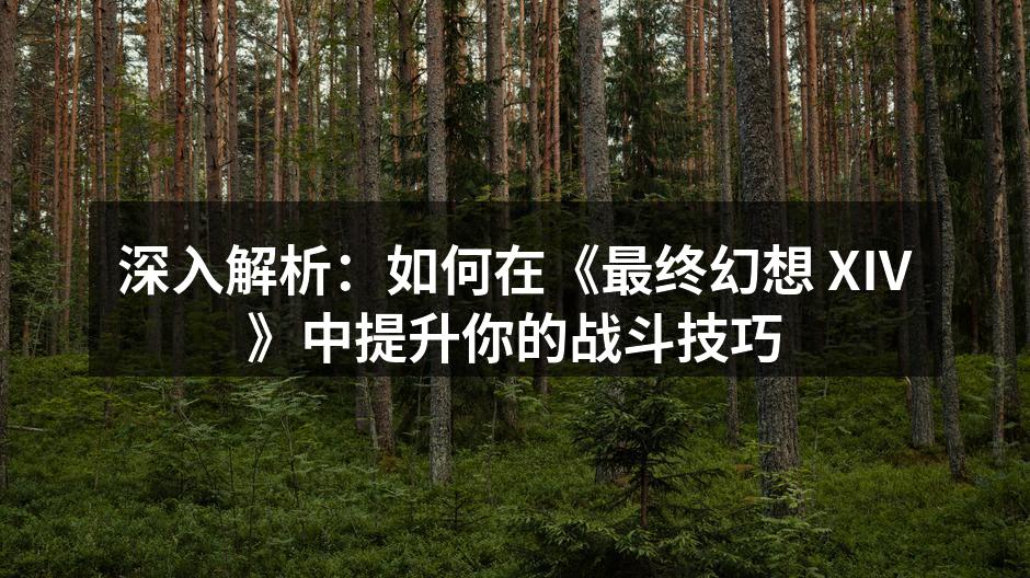 提升战斗技巧的关键