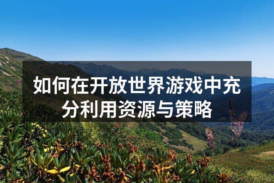 如何在开放世界游戏中充分利用资源与策略